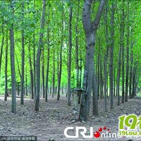 �������û�ױ�������� �����κ����������