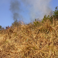 ���������ʵ�����ǡ�����һ��(��ͼ���ࣩ