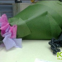 Ϊ�˼������ǵĵ�ʮһ�����˽�