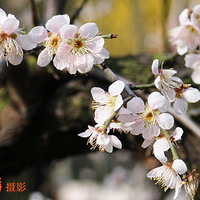 2011�꺼��A3��ɽ��÷��ټ���