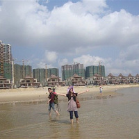 ��������7���Σ�����Ƭ��������