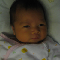 �˴�ʡ��Z�֣�����