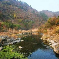 �ز�ȥ������������ŵİ��飬ץ��ס�����ڣ���ϧ~~~