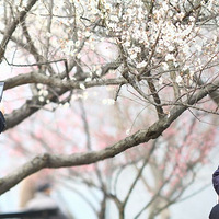 �����ϵİ�