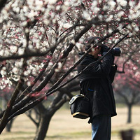 һ������-------��ס�Ƿۺ�ɫ�Ļ���