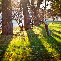 ������������ϣ������Ұ����ĳ��������Ұ����ĸ裡