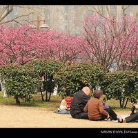 ��ĩ��ɽ̽÷