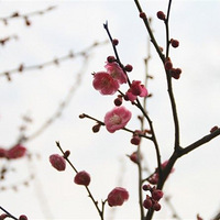 �������ĳĳĳ����Ʒ