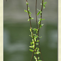 ��..........��