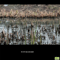 ----------       ɶ  -----------