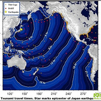 ���ݺ����ܵ��ձ�Ӱ���к��ˣ�����ɥ����