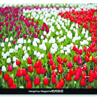 ���Ļ���