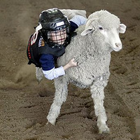 ����˹�ؾ��ж�ͯ���������