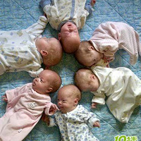 ��������̥�����Ŀ����뷳��