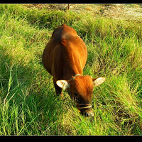 ���´��ͣ�һ·�������ݳǡ���������~~