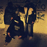 ����������ڰ�ʵ¼