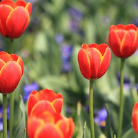 �ͻ������