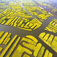 2019��ò�澰--���պڸߴ�ǧ���Ĳ˻����������Ͳ˻�������ͼ