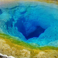 ������������Ż��ɽ������ʤ��