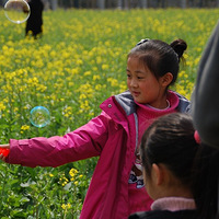 ˫�ݱܿ��߷壬ȥ�Ƽ�ѧԺ���Ͳ˻�