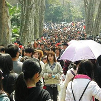 �������ߵ��������ǳ����Щ��Ѫ�����ǣ�