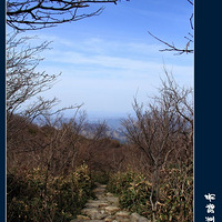 ��Խ�ŵ�ͽ��̤��