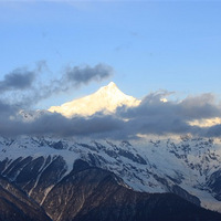 ������  ����������