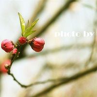 �һ���Ʈ����