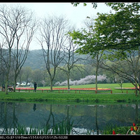 ̫����֮����(Χ�۾��Ǹ��������ټ����ţ���