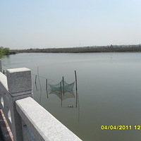 Ҫ���Ͳ˻����Ҽ����С��ׯҲ������