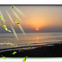 �ƻ��C5���п��Ͳ˻�����԰���������