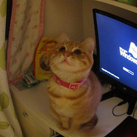 �ҼҰ�è��������ɹ�