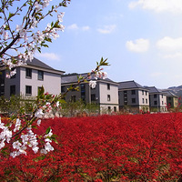 ���ݴ��������ļ����ط�