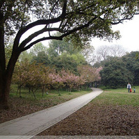 ��ĩ����ȥֲ��԰Ұ���