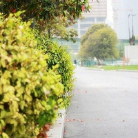 ��ҹҹ�����Ӻ��ϣ��һ��Ƿ���ʧ������