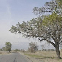 �������������꼾����ʵ������һֱ����ǰ��