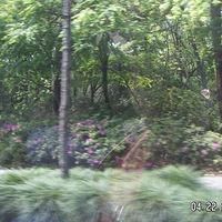 ����ӵ�������Ľ�ͨ----������������Ը��