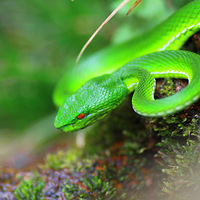 ð�������й����