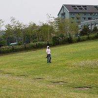 ̫������񻬲ݳ���������ҵ��������