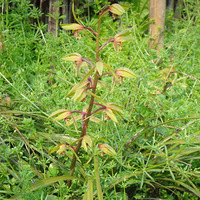 ����5.1�պ��ŵ������Σ���Ƭ���䣩