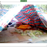 �⳾�ļ���---־Ը���ռ�(ȫ���꣩