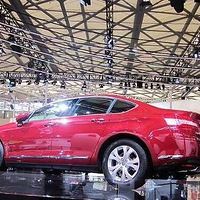 ���ƺ�C5������   ��ľ��~~