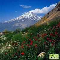 ��˹�Ź��������֪�޲�������Ļ���~~