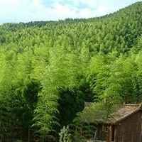 ��Խ���Һ�20�������һ������~~