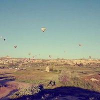 ��������Ͽ�û�����ºۼ��������Ƿɹ�