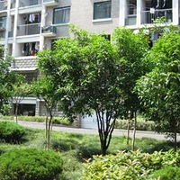 �ᳵһ�ܲ�������ҵ�������ַ��ᳵ��ҵ