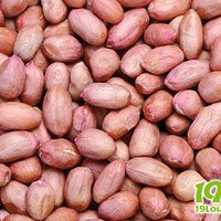 ���ּ����������