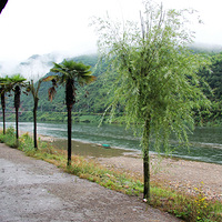 �����ٰ���ʳ��