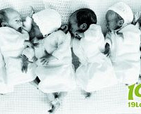 ȫ��Ψһ����̥�����볤�� �����в���(ͼ)