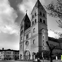 ���������͡��¹�����Ȼ���ൺ��ͷ��